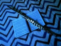 /album/galeria-de-fotos/flauta-jpg/